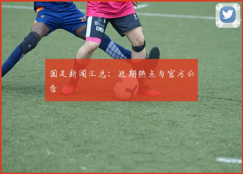 国足新闻汇总：近期热点与官方公告
