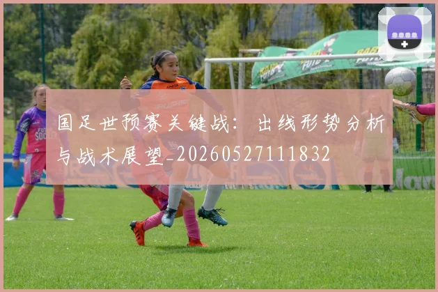 国足世预赛关键战：出线形势分析与战术展望_20260527111832