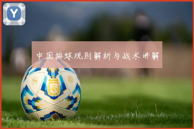 中国排球规则解析与战术讲解