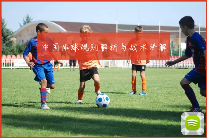 中国排球规则解析与战术讲解